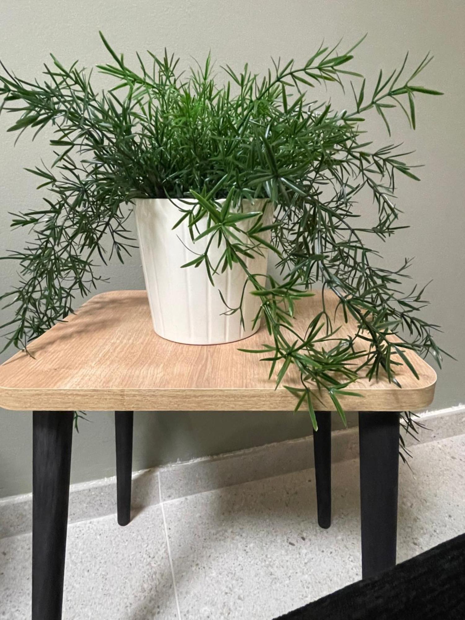 Apartment Zeno *